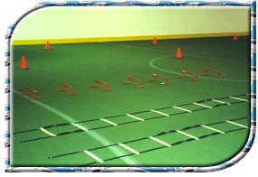 climate controlled indoor turf fields
